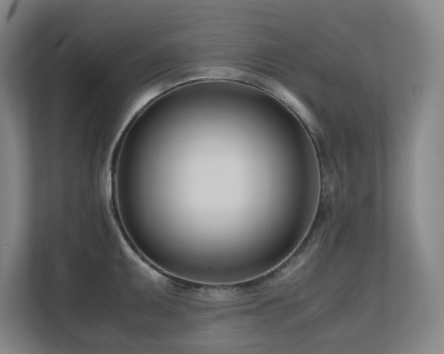 X0000110771095200906151321