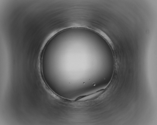 X0000110771096200906151321