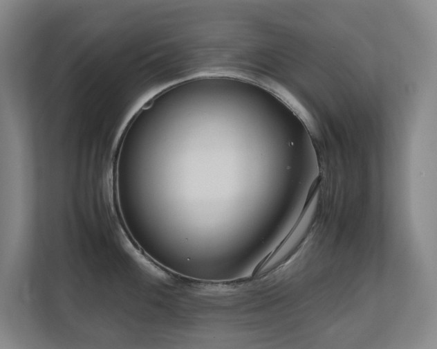 X0000110771100200906151321