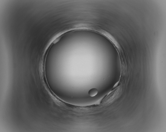 X0000110771101200906151321