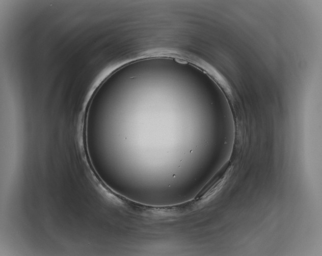 X0000110771102200906151321