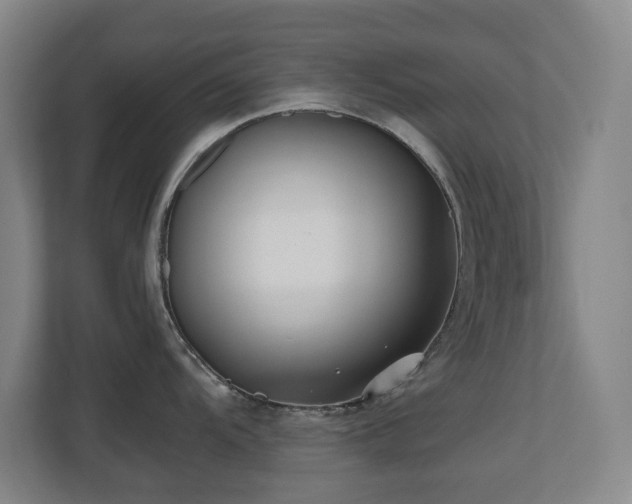 X0000110771104200906151321