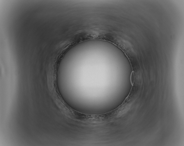 X0000110771105200906151320