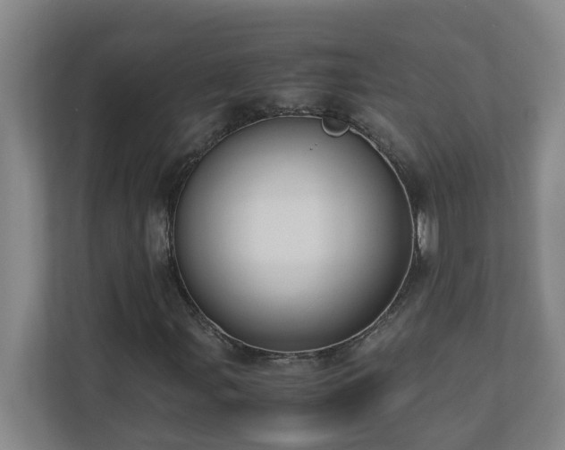 X0000110771107200906151320