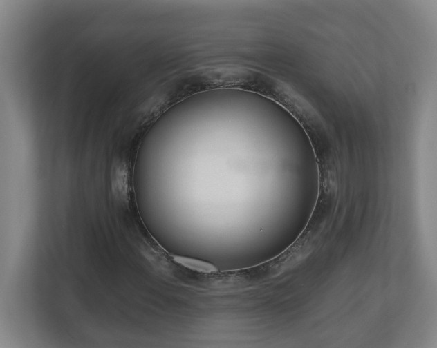 X0000110771108200906151320