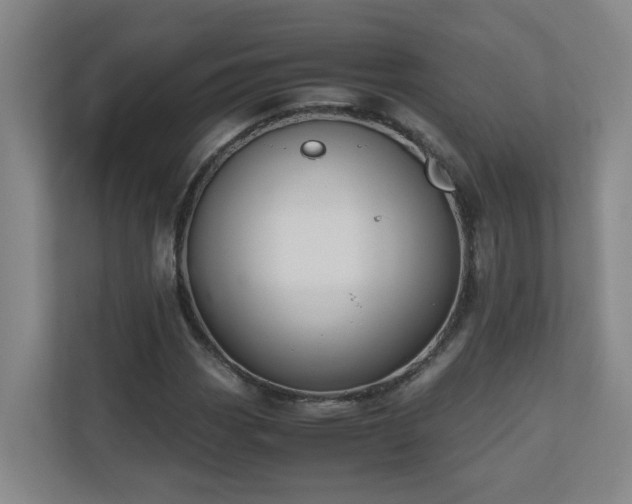 X0000110771113200906151320