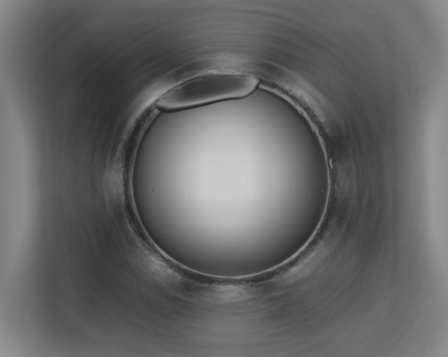 X0000110771114200906151320