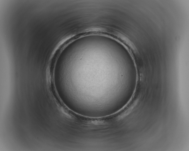 X0000110771117200906151320