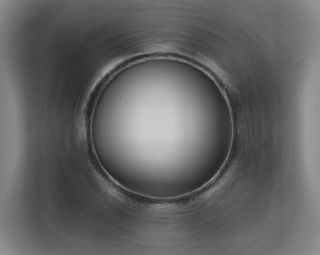 X0000110771118200906151320