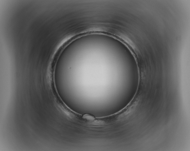 X0000110771119200906151320