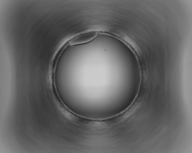 X0000110771124200906151320