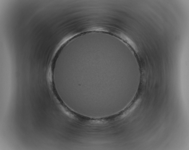 X0000110771125200906151320