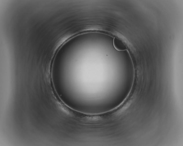 X0000110771129200906151320