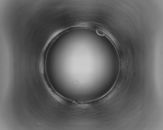 X0000110771131200906151320