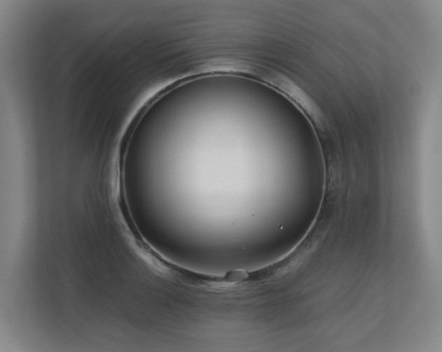 X0000110771132200906151320