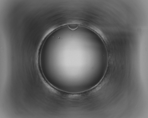 X0000110771135200906151320