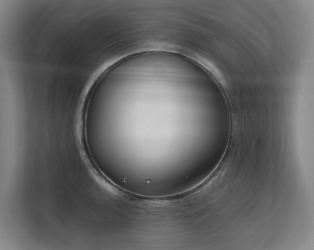 X0000110771136200906151320