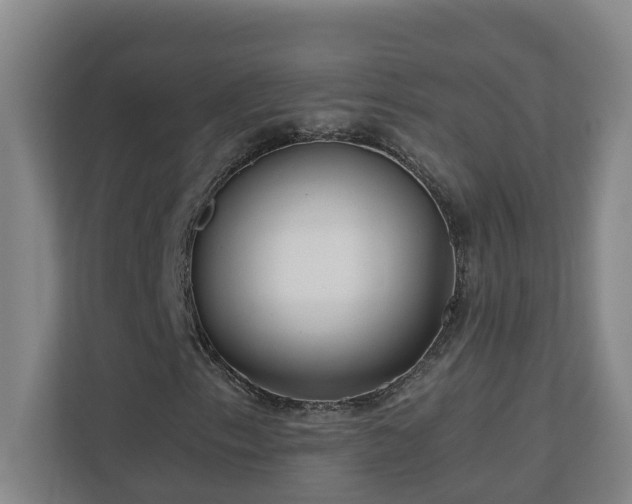 X0000110771153200906151320