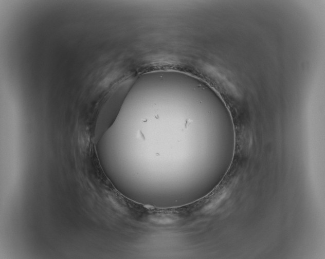 X0000110771157200906151320