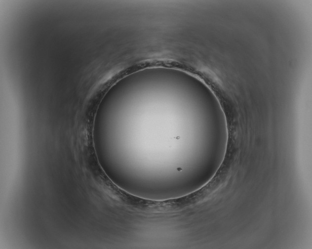 X0000110771159200906151320