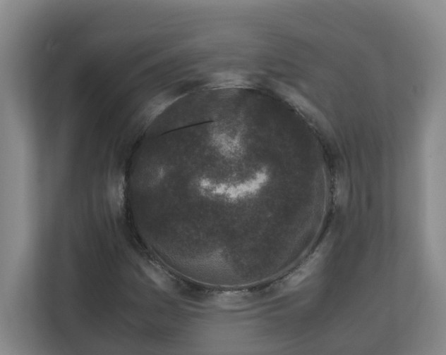 X0000110771161200906151320