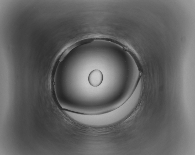 X0000110771173200906151320