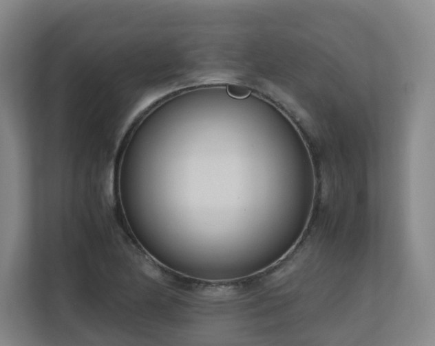 X0000110771174200906151320