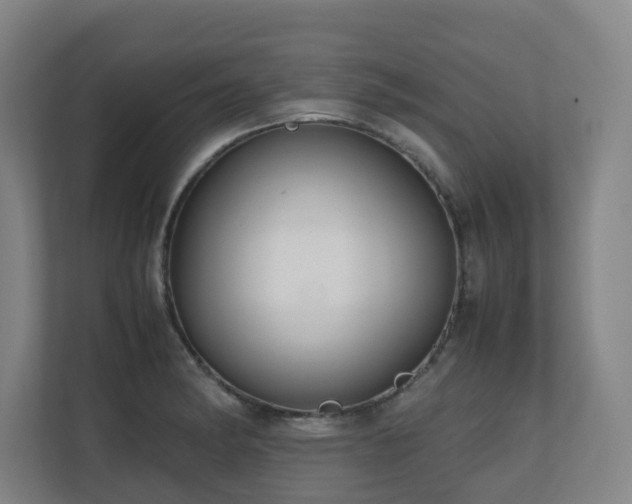 X0000110771182200906151320