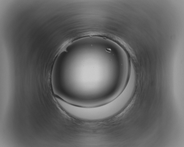 X0000110771185200906151319