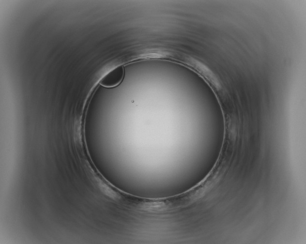 X0000110771186200906151319