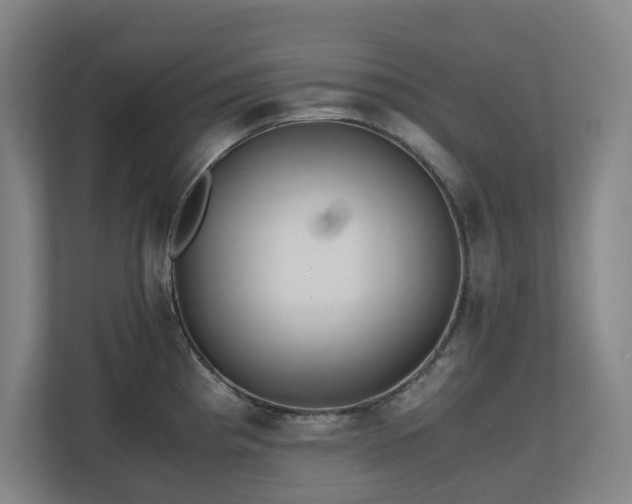 X0000110771193200906151319