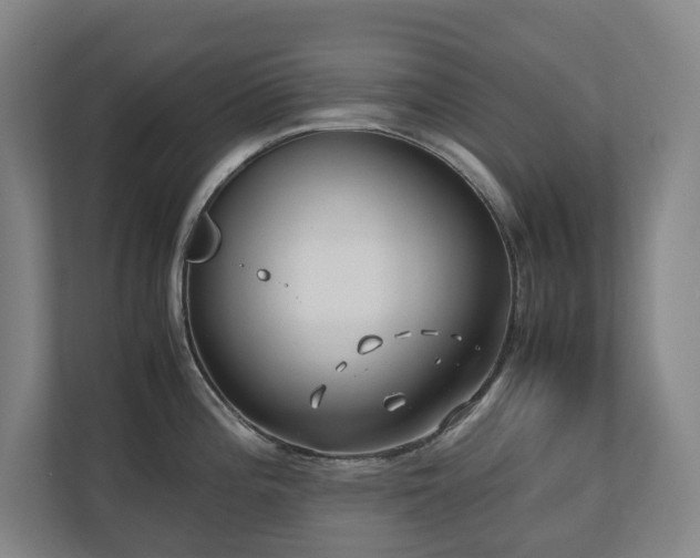 X0000110771196200906151319