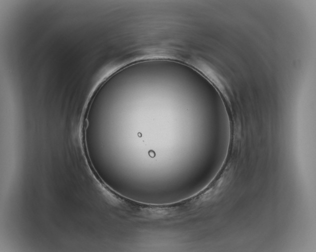 X0000110771197200906151319