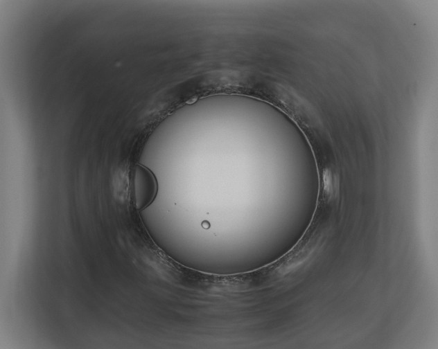 X0000110771203200906151319