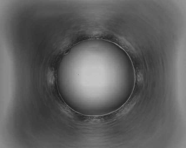 X0000110771204200906151319