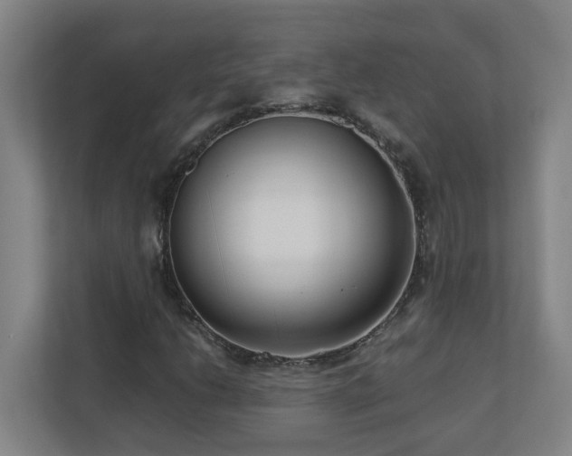 X0000110771206200906151319