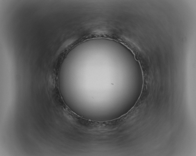 X0000110771207200906151319