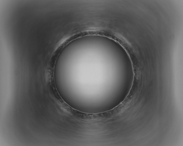 X0000110771208200906151319