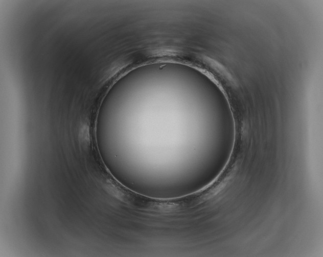 X0000110771209200906151319
