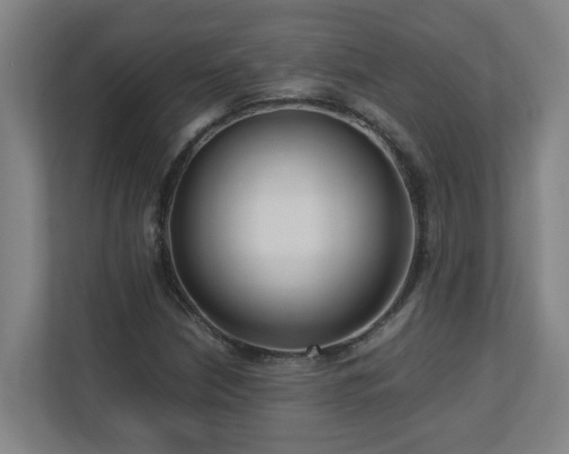 X0000110771210200906151319