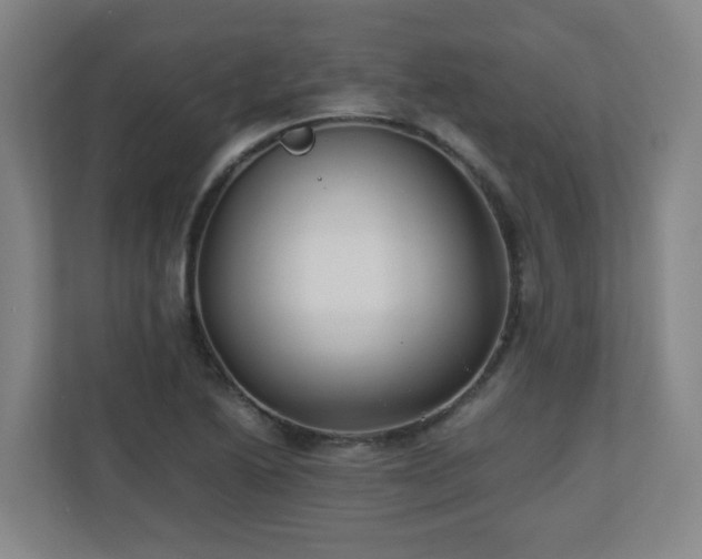 X0000110771222200906151319