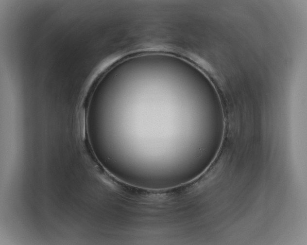 X0000110771223200906151319