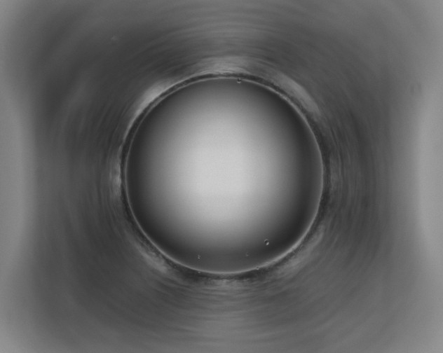 X0000110771226200906151319