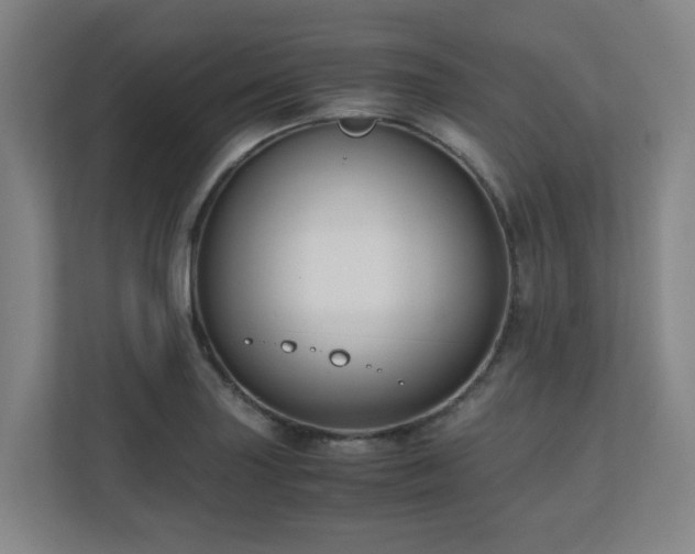 X0000110771227200906151319