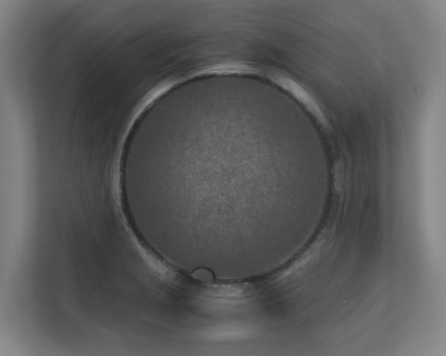 X0000110771229200906151319