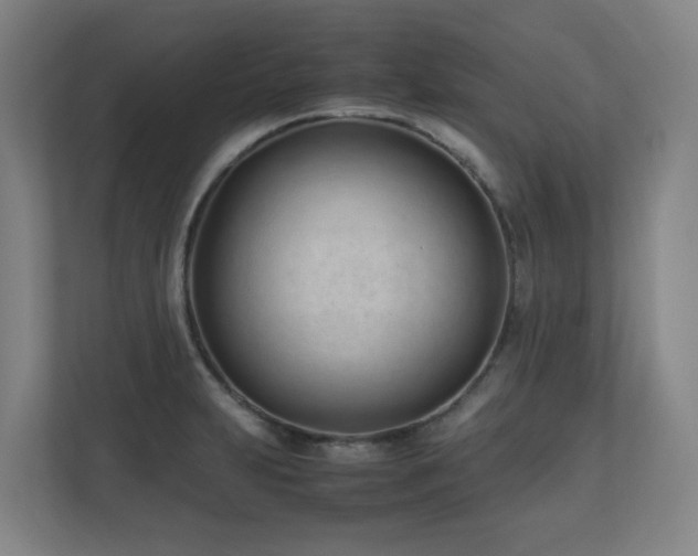 X0000110771231200906151319