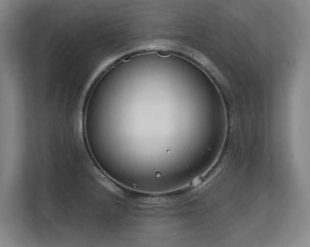 X0000110771232200906151319