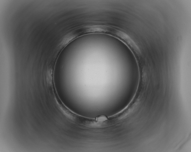 X0000110771233200906151319