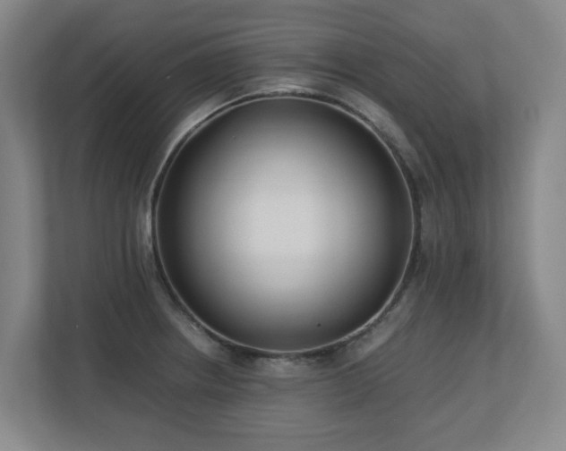 X0000110771234200906151319