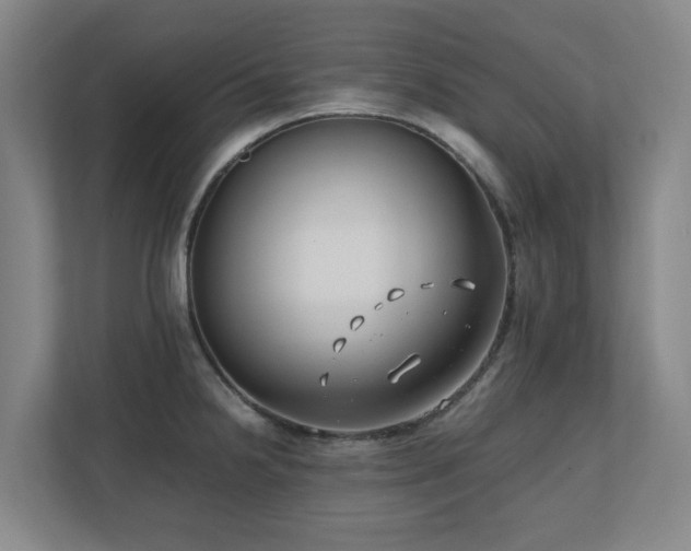 X0000110771238200906151319